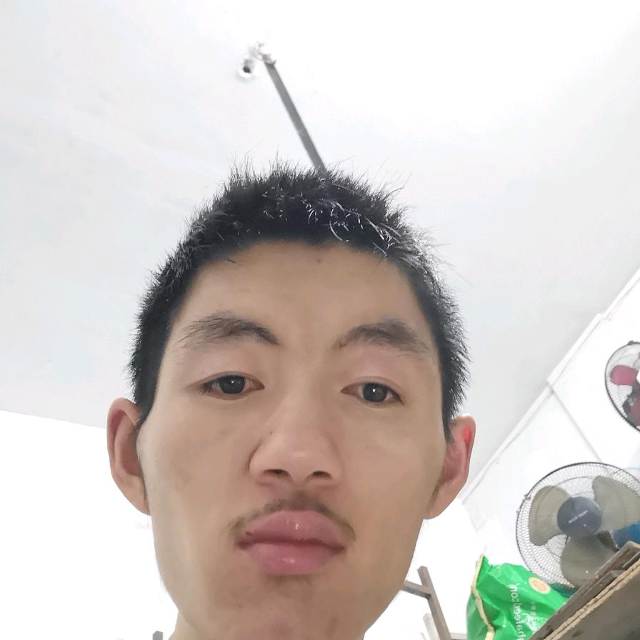 我爱你一辈子