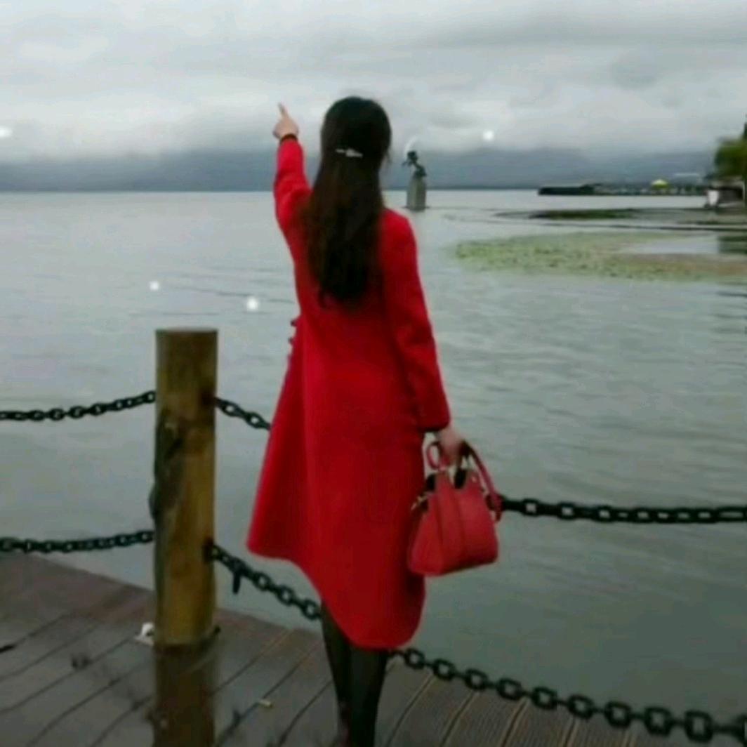 玫瑰飘香
