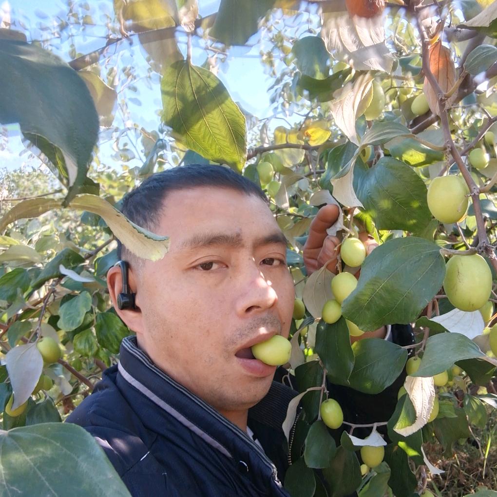 康哥
