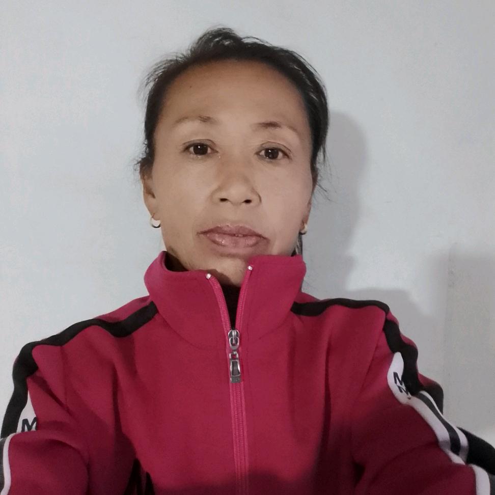 东北姐
