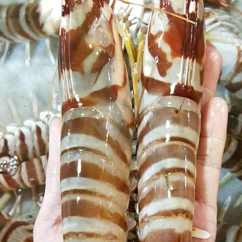 东山县西埔镇几好海鲜