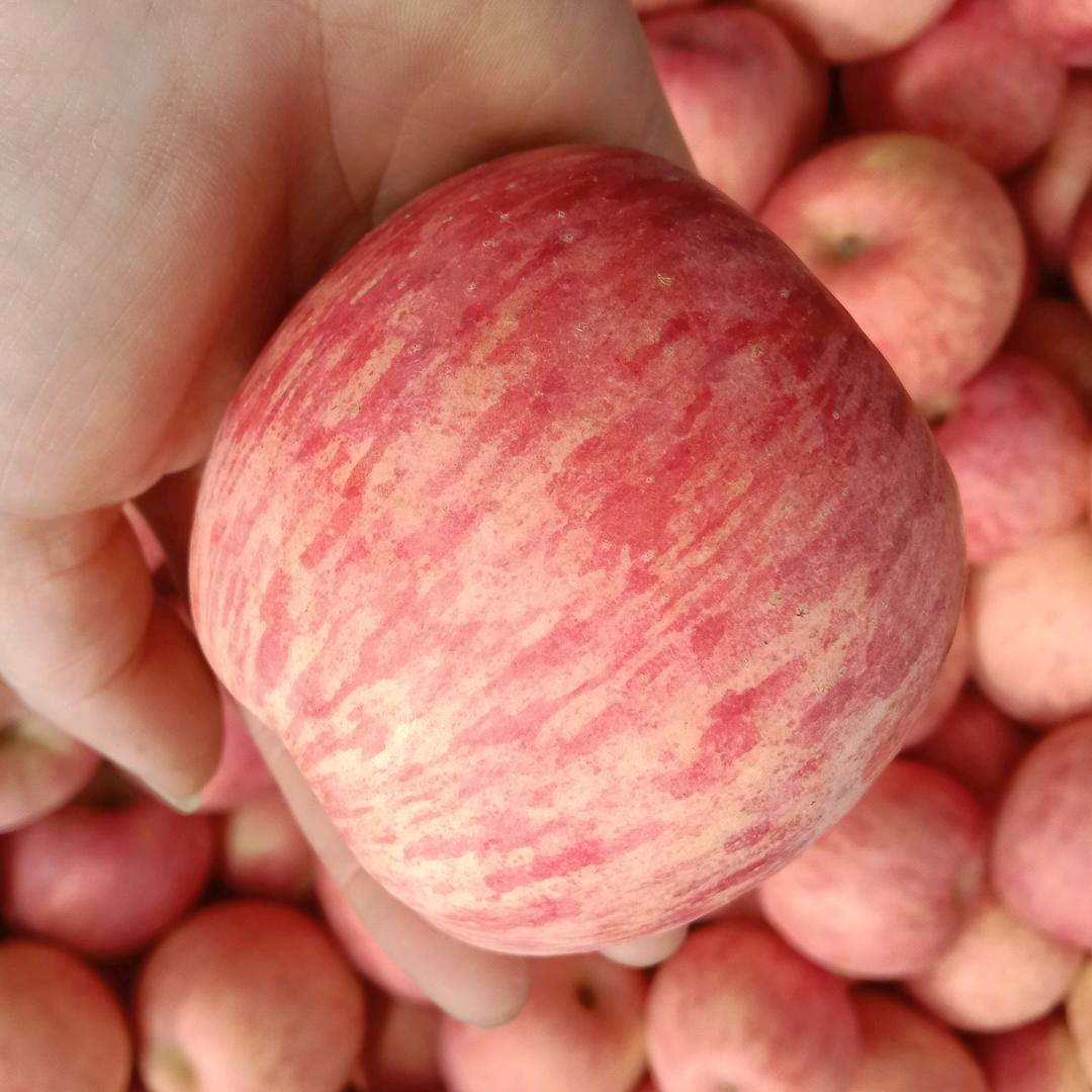 膳阁坊水果旗舰店