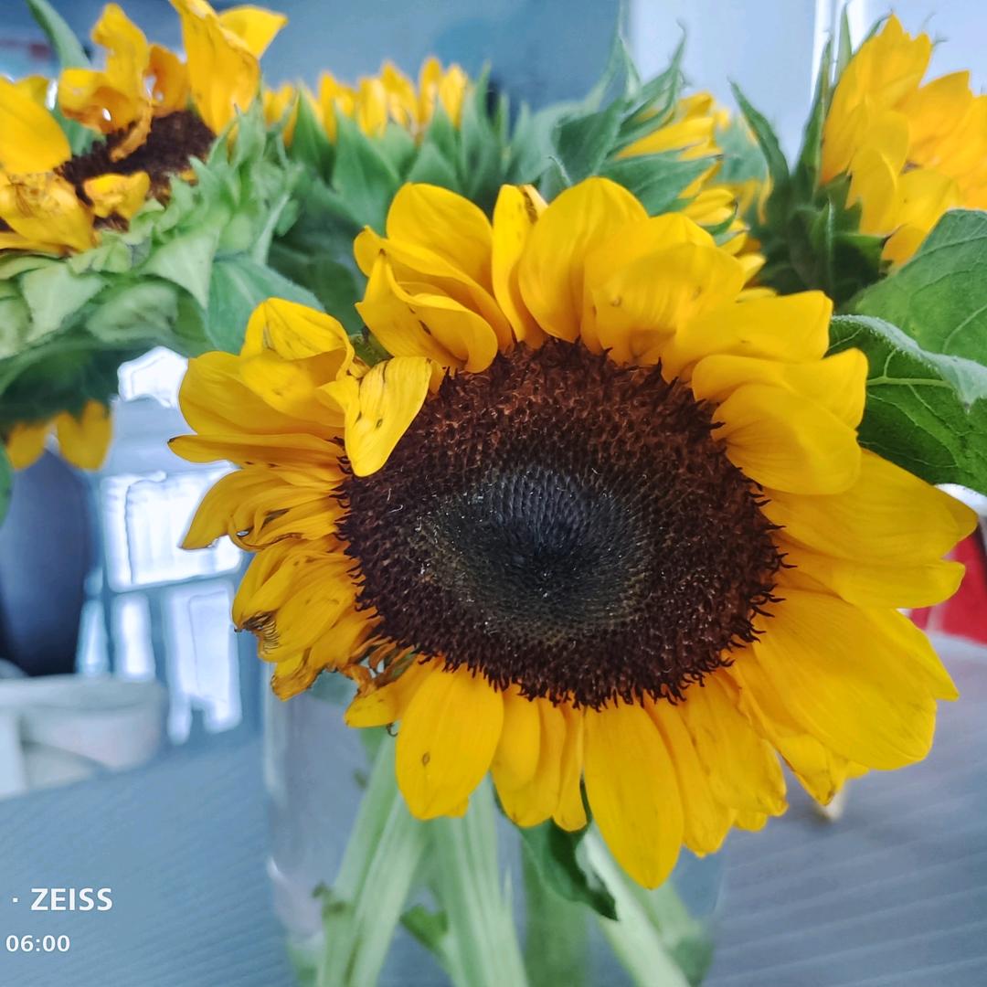 香露~~贝657865251157mok