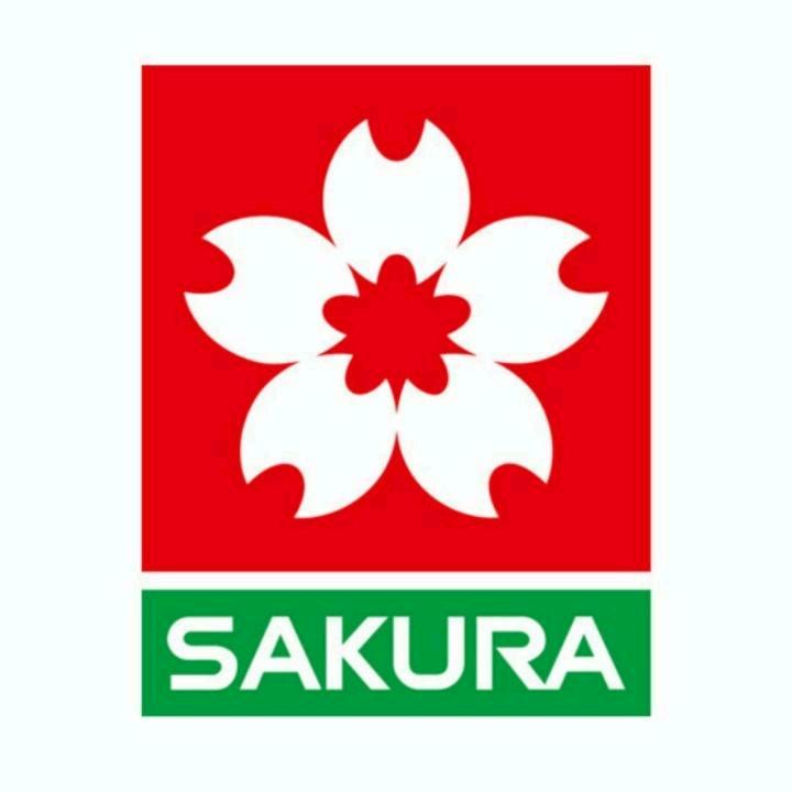 樱花SAKURA