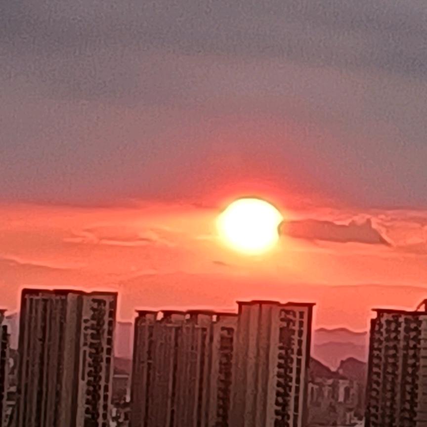 悠悠开心果