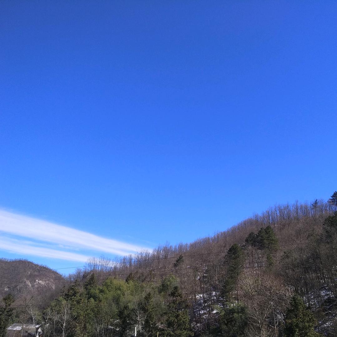 豫西小虾米