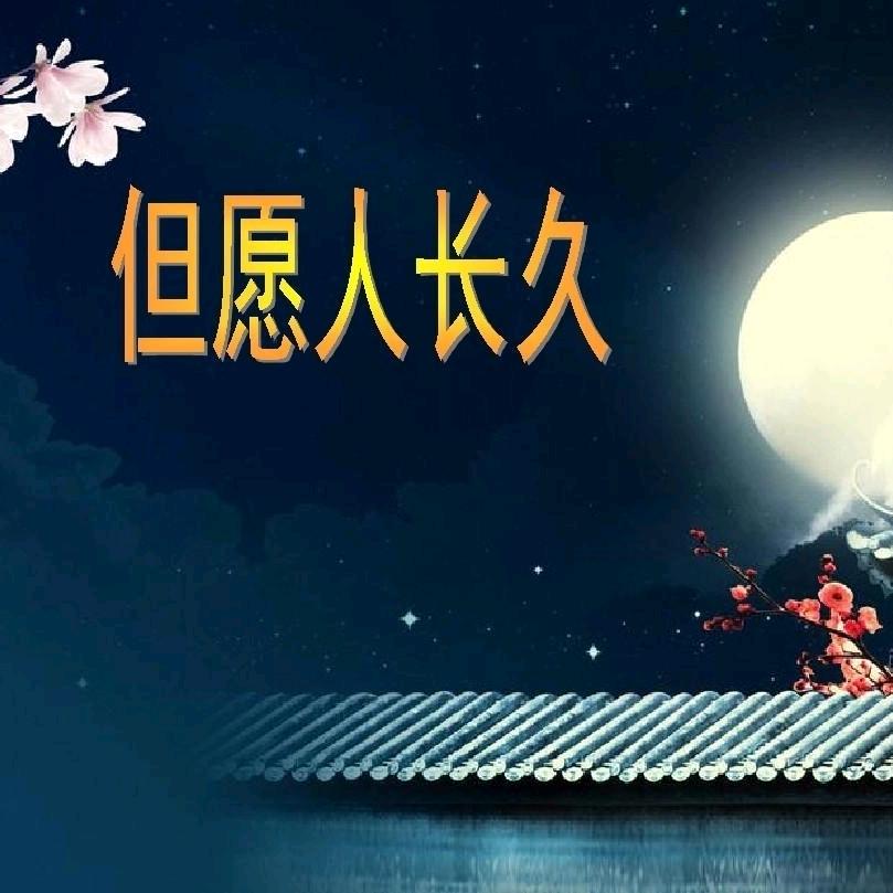 千里共婵娟