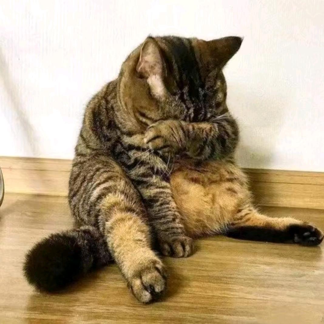 内江朵儿