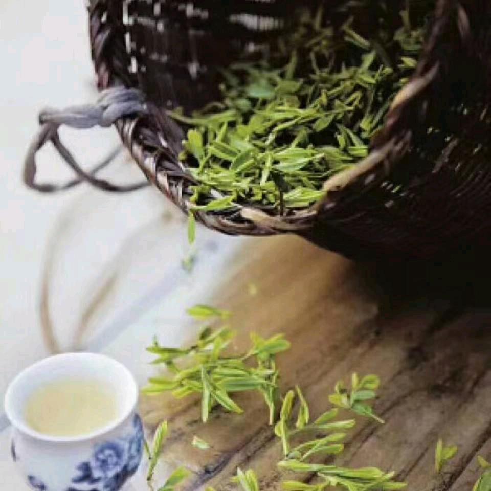 tαng✌72鼠拒绝私聊