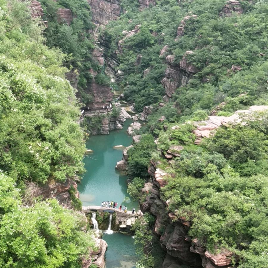 惠慧