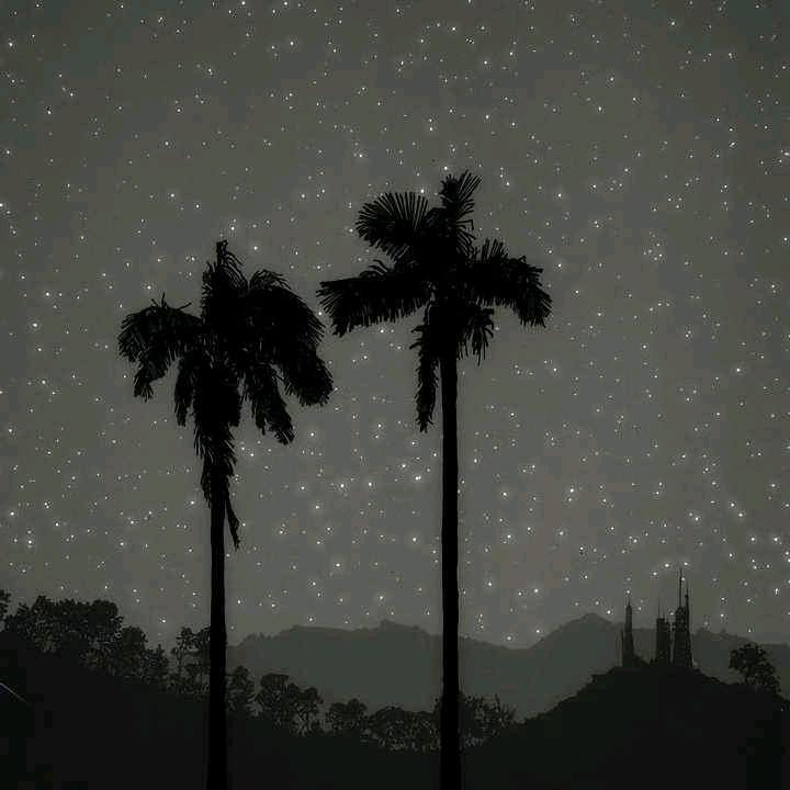 转转直播间