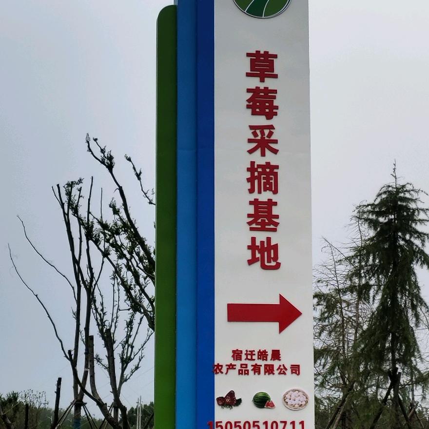 嶂山闸草莓采摘园
