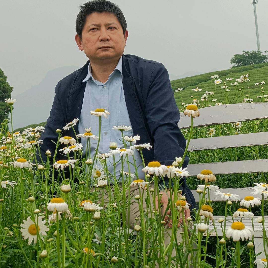 洛日余辉