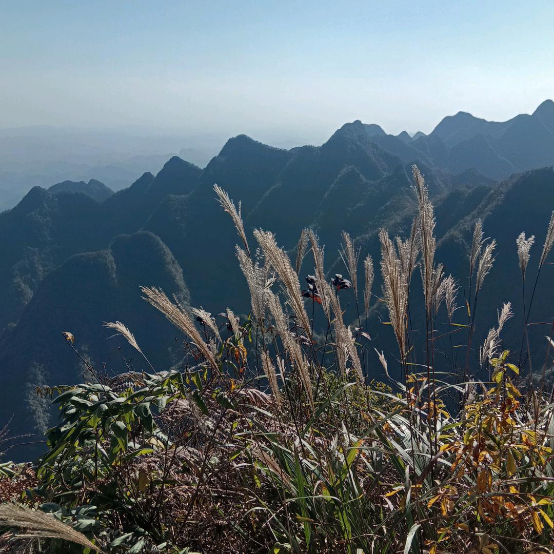 重庆秀山。