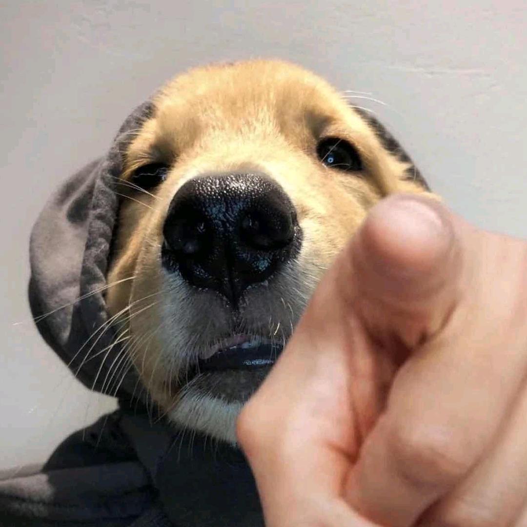 一个老六