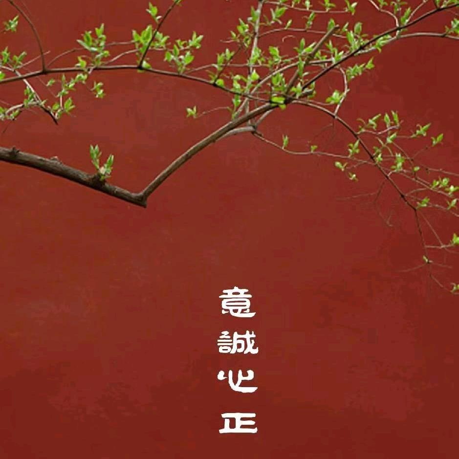 意诚心正