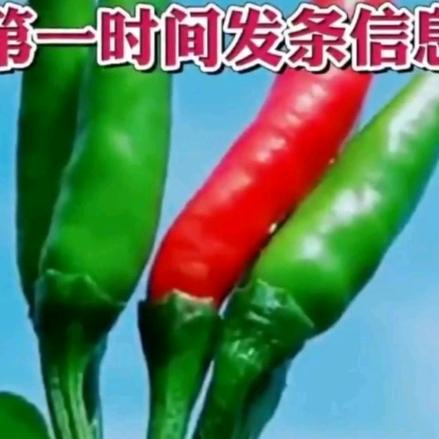 用户星光灿烂