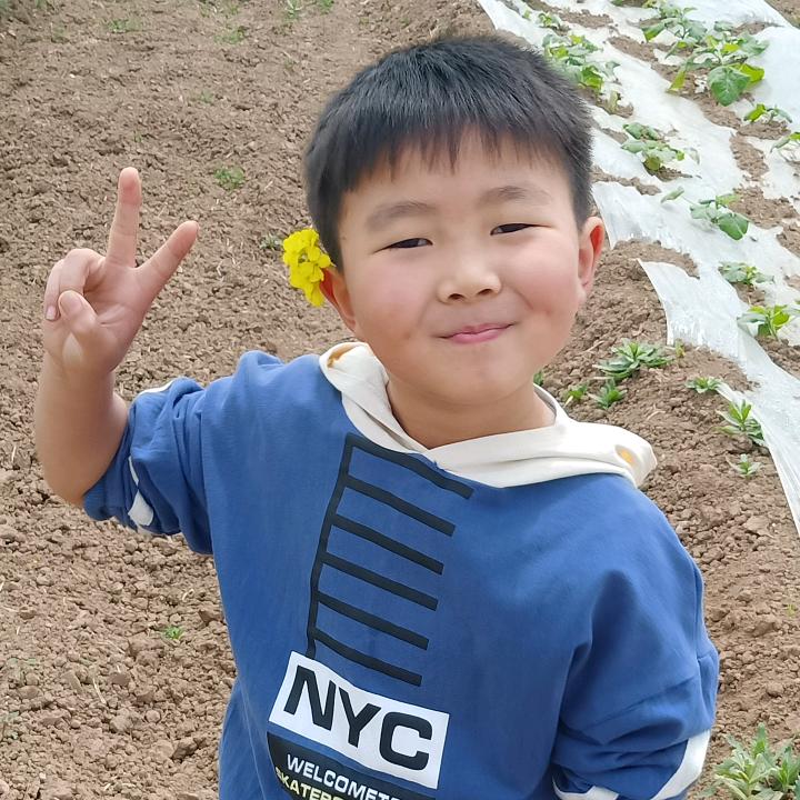 老婆婆馍馍