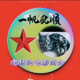老杨头