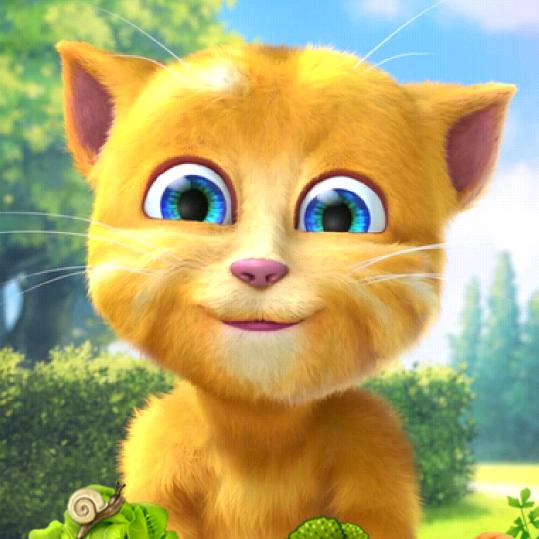可可爱猫