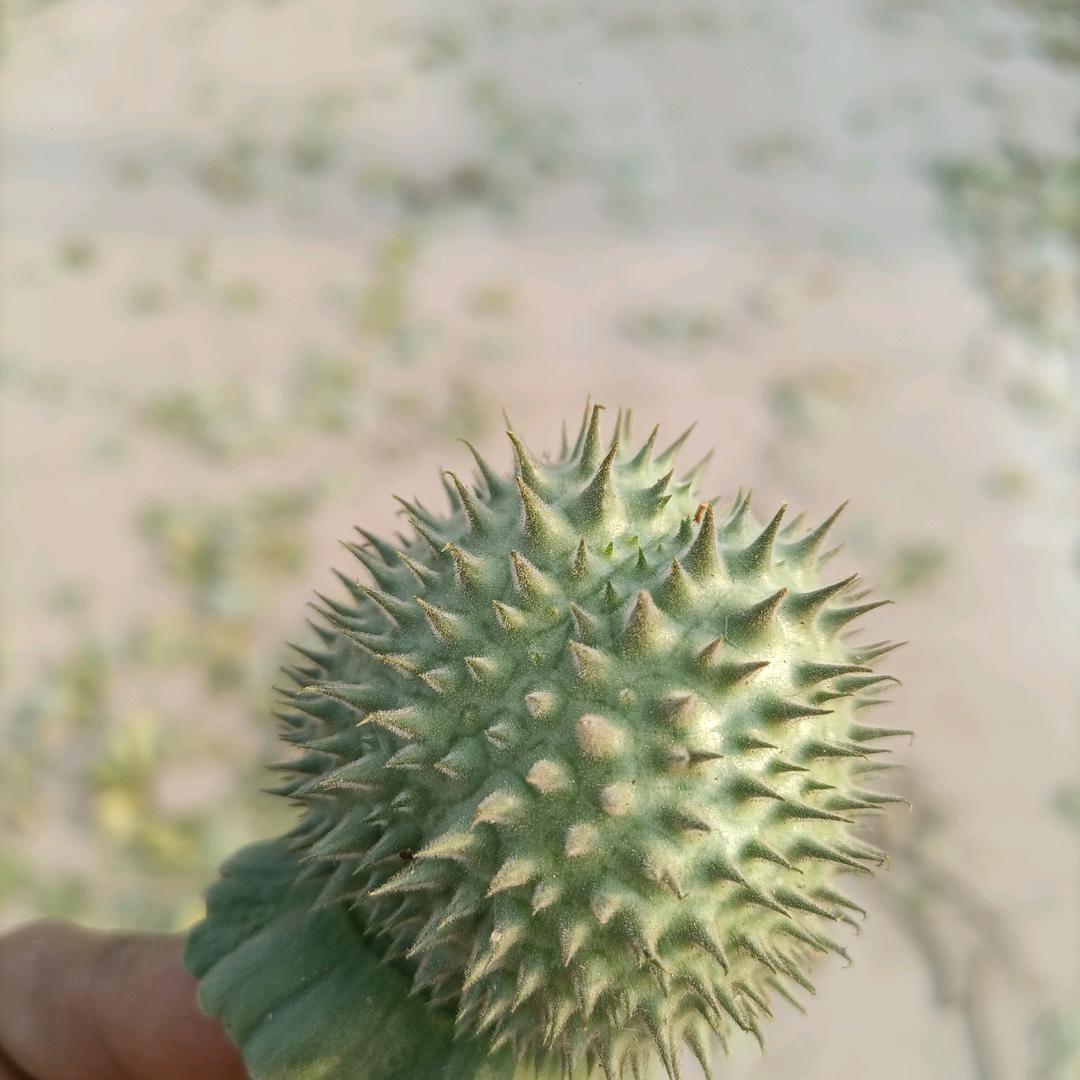 雅庭装饰