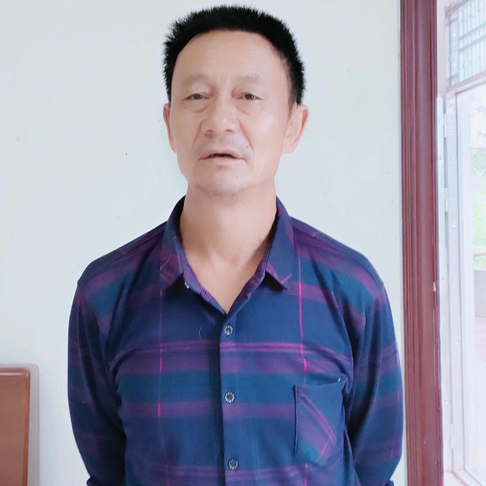 陈红