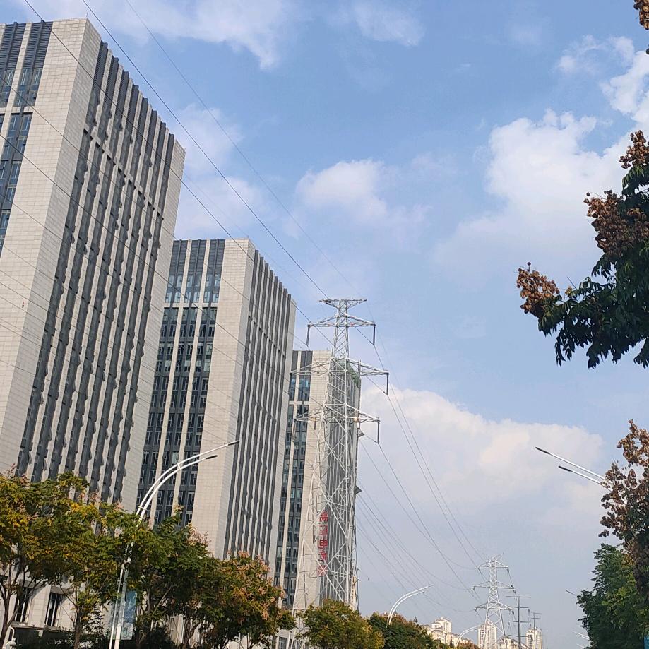 南京振徳人力资源有限公司