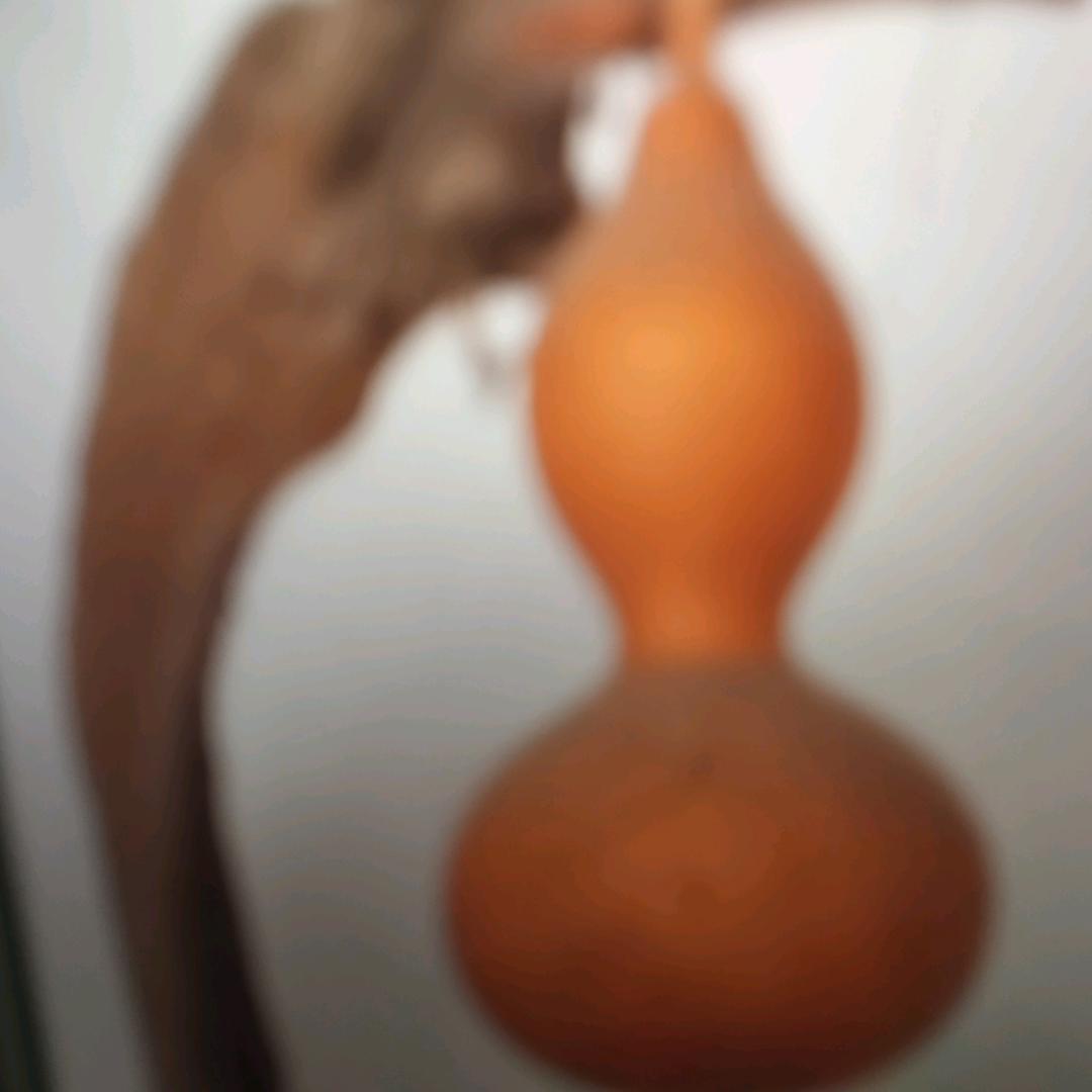 小葫芦