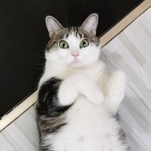 大花的幸福生活