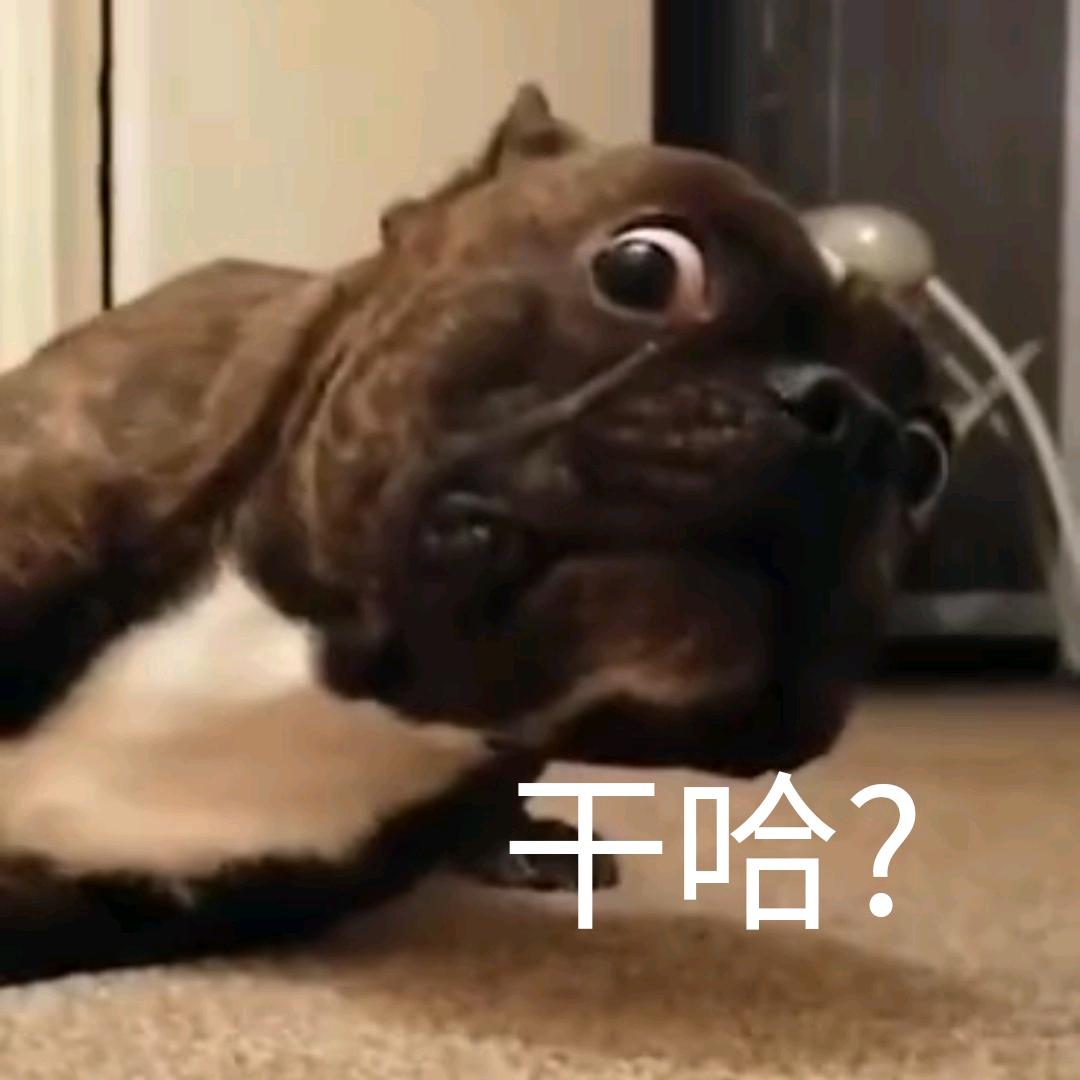 『许』
