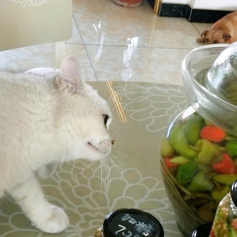 今生前世