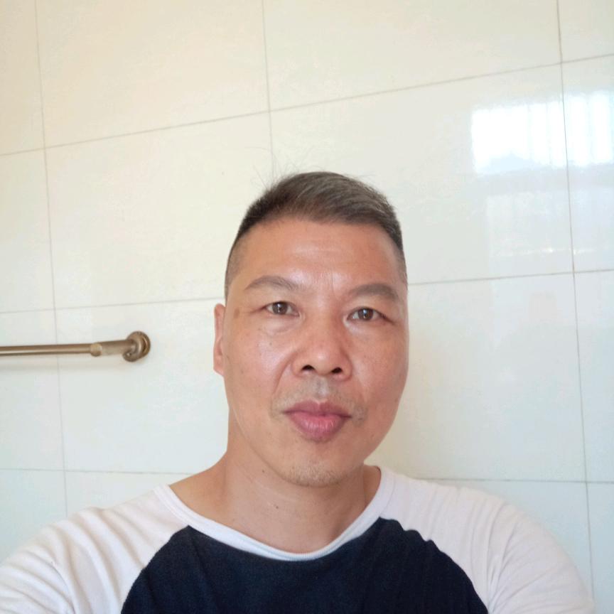 孤行鸟