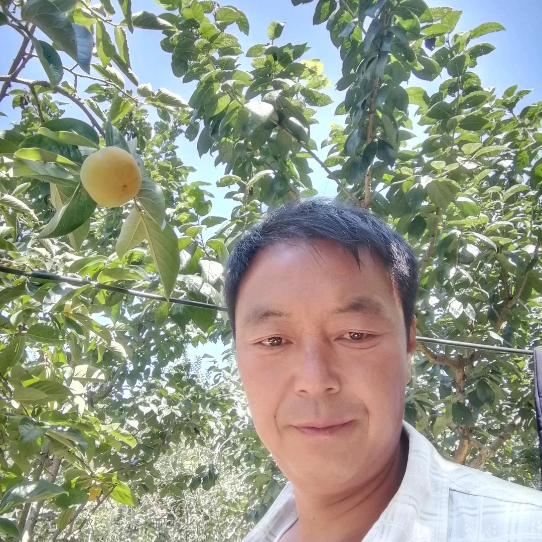 往事随风  （青松）