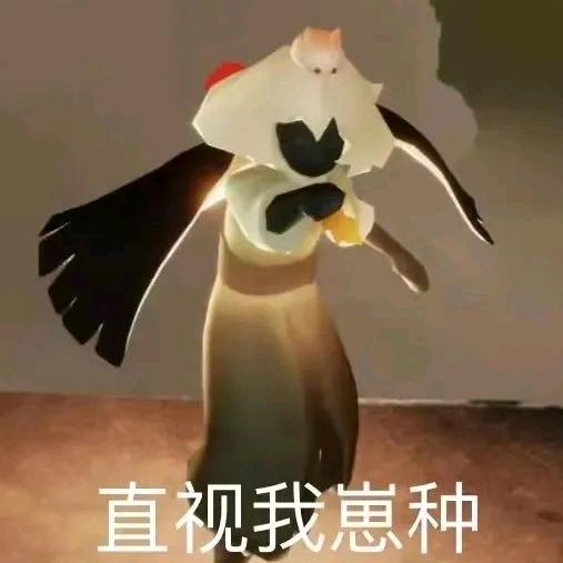 皮姐小迷妹