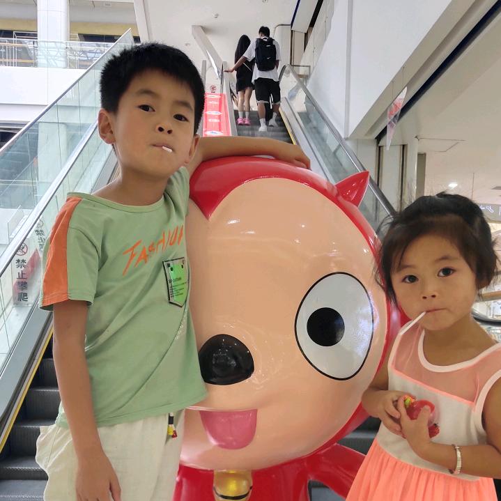 展怡静