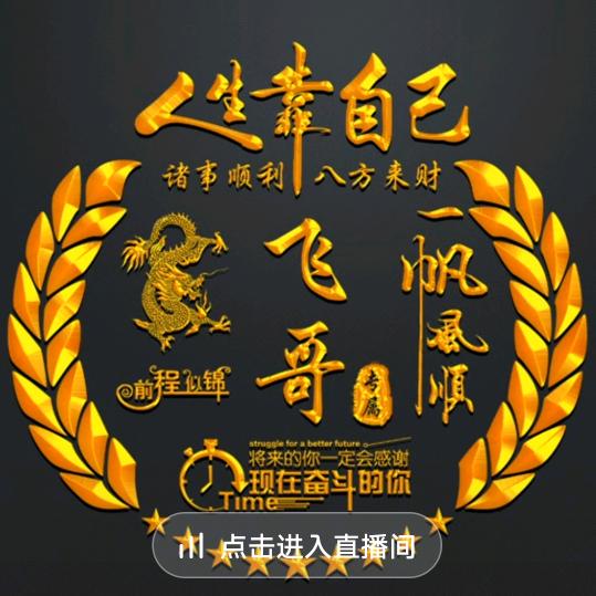 飞哥