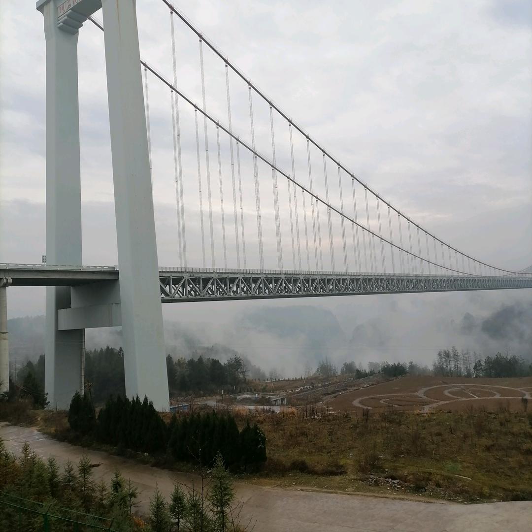 MK唐伯虎点蚊香