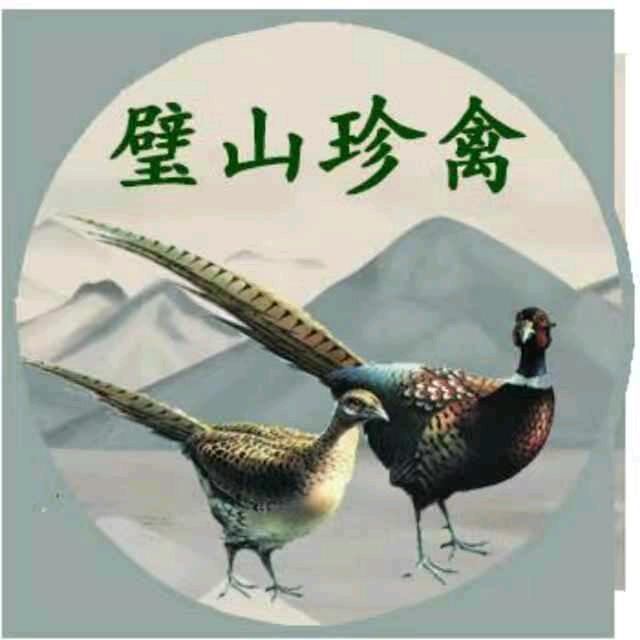 壁山珍禽鸡媒驯养基地
