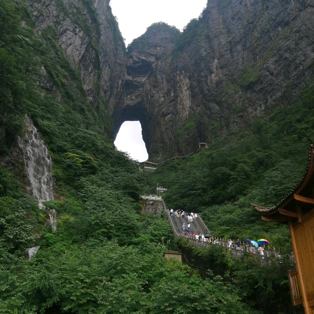 骆驼🐫