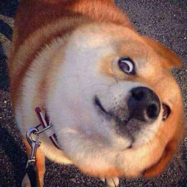 快来追剧
