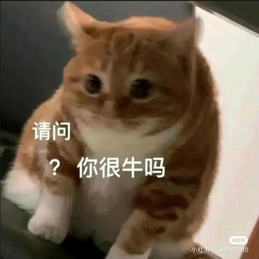 利群重度依赖