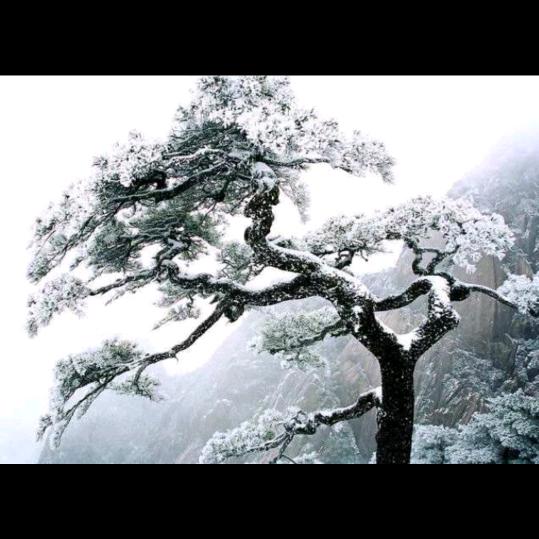 龚兵才