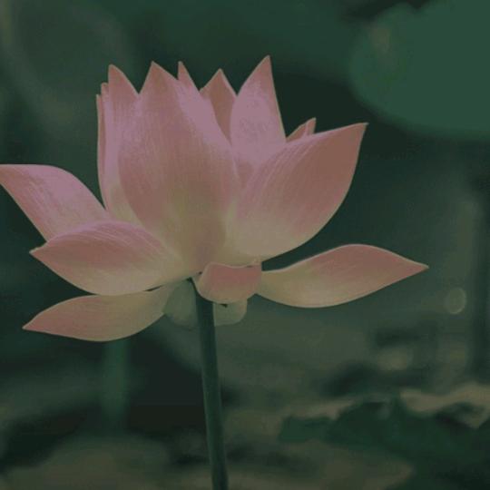 觉吉🙏