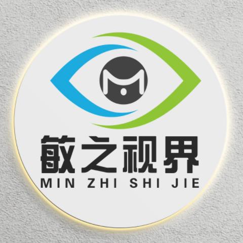 敏之视界