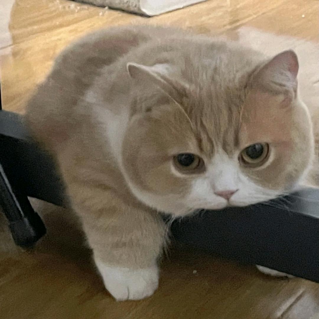 抖音最佳评论员
