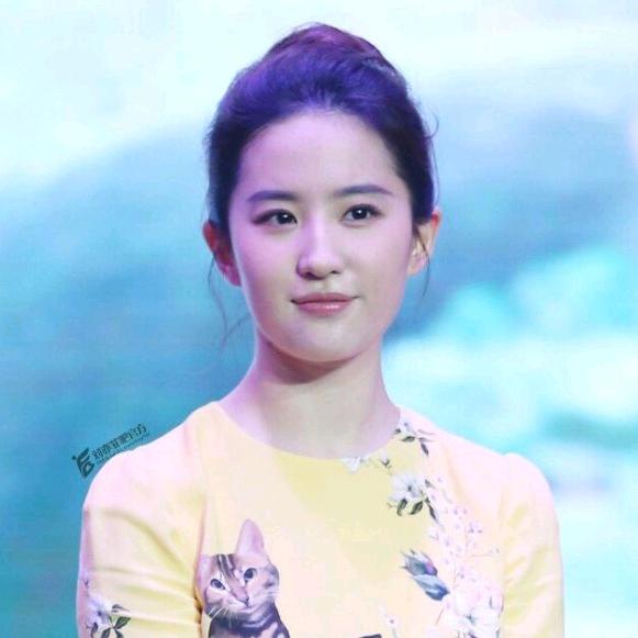 刘亦菲亦家人