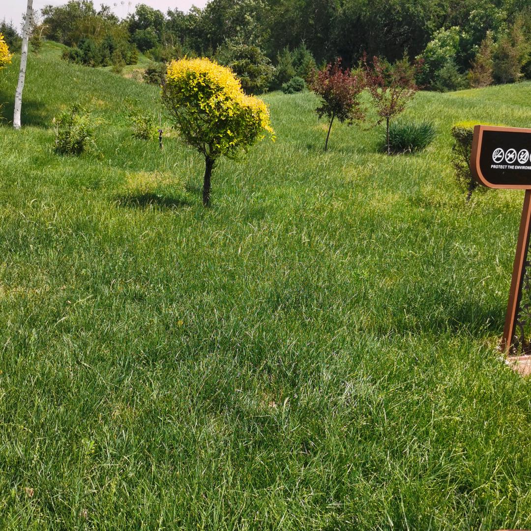 辉达种养殖家庭农场