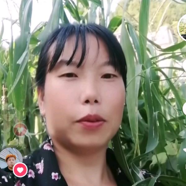农村人