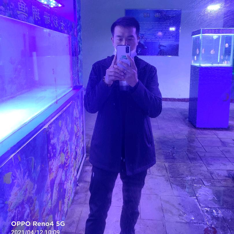 এ᭄🥀记忆：格式化🌺ོꦿ࿐