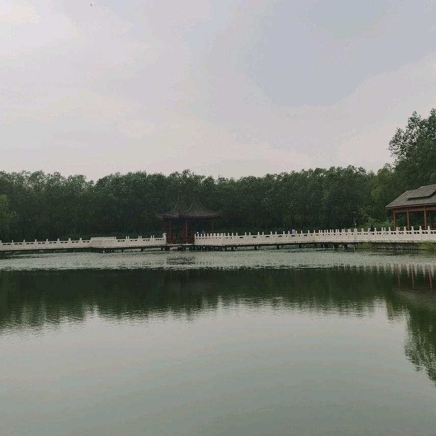 张志俊